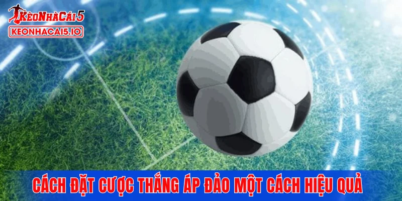 Cách đặt cược thắng áp đảo một cách hiệu quả