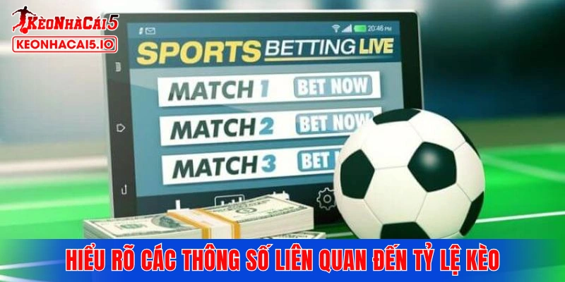 Hiểu rõ các thông số liên quan đến tỷ lệ kèo