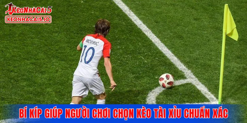 Những bí kíp giúp người chơi chọn kèo tài xỉu chuẩn xác