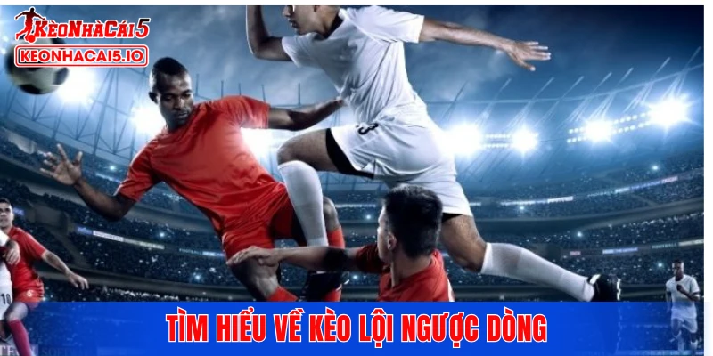 Tìm hiểu về kèo lội ngược dòng