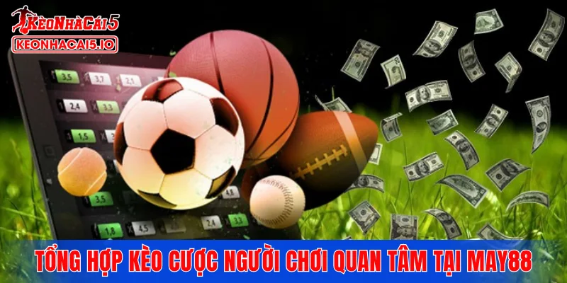 Tổng hợp kèo cược người chơi quan tâm tại MAY88