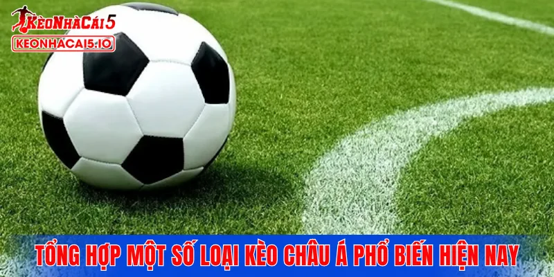 Tổng hợp một số loại kèo châu Á phổ biến hiện nay